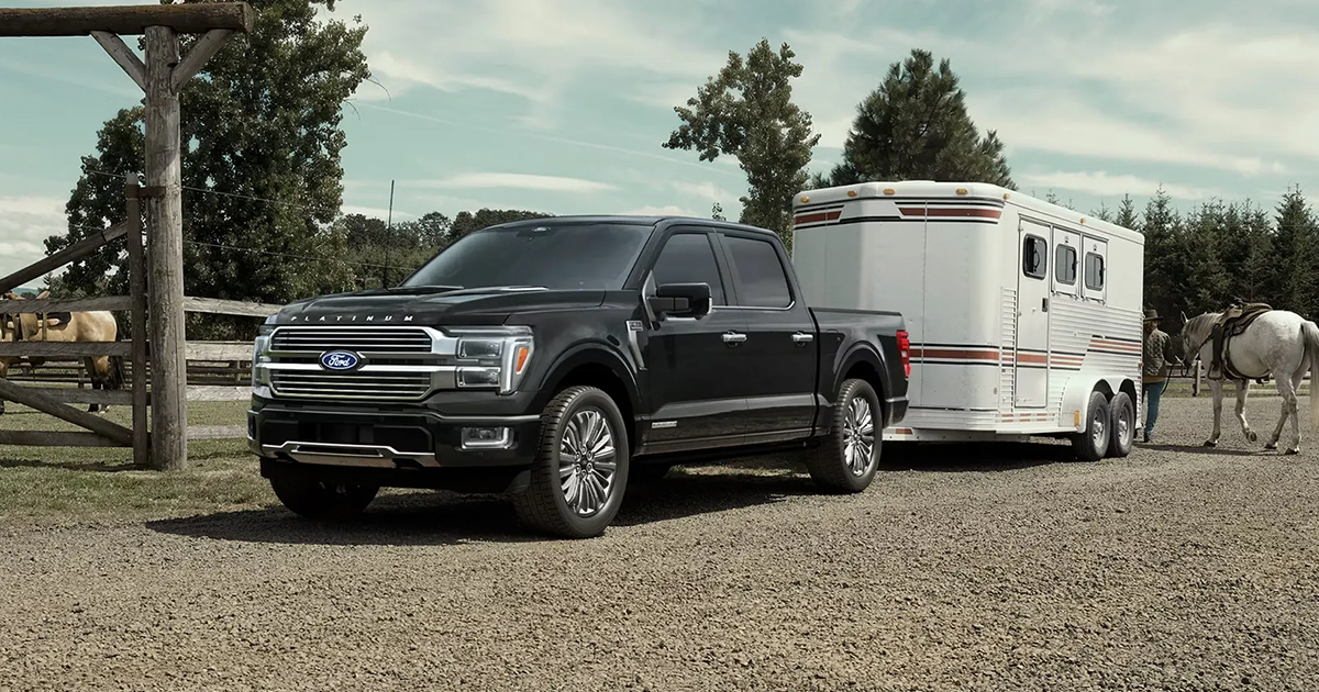 Black Ford F-150 Platinum pickup truck towing a white horse trailer on a rural farm setting with horses and wooden fence