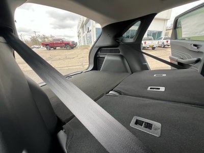 2026 Ford Escape Active®