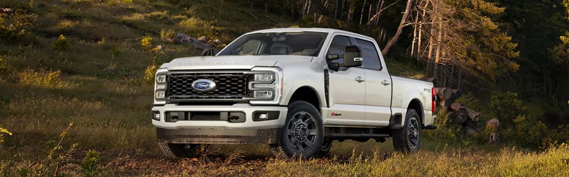 A **white Ford F-Series Super Duty pickup truck** parked on a grassy slope outdoors.